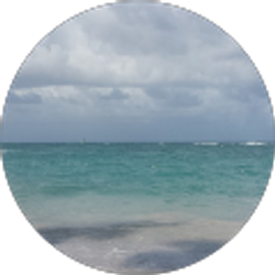 Profile photo of Brandon Lien