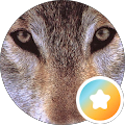 Profile photo of Cheryl Curtis