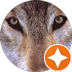 Profile photo of Cheryl Curtis