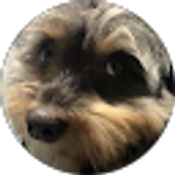 Profile photo of Liz