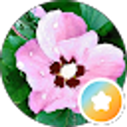 Profile photo of Lieren Davis