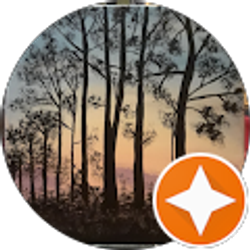 Profile photo of Celeste Sheeran