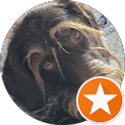 Profile photo of Don Bright