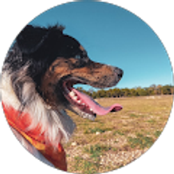 Profile photo of Aspen Leblanc