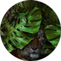 Profile photo of Maricela Villavicencio