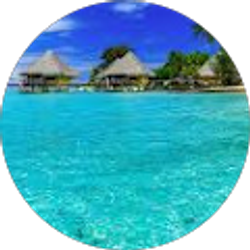 Profile photo of Sherri Wingard