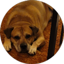 Profile photo of Vickie Rae Klinger