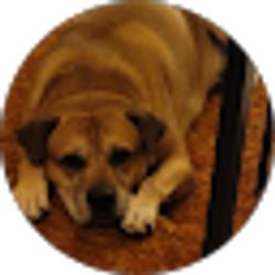 Profile photo of Vickie Rae Klinger