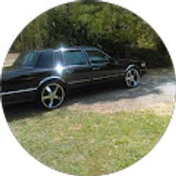 Profile photo of Marcus Bromley