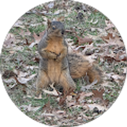 Profile photo of Ashly Foster