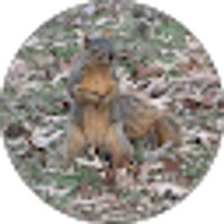 Profile photo of Ashly Foster