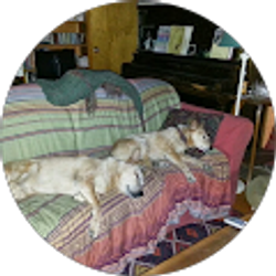 Profile photo of laura rawlins