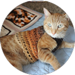 Profile photo of PicPandas 89