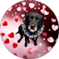 Profile photo of Deb Logan