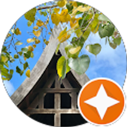 Profile photo of Jeannie Xie