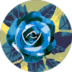 Profile photo of Beth Carroll