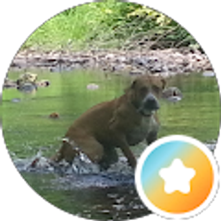 Profile photo of Great Life