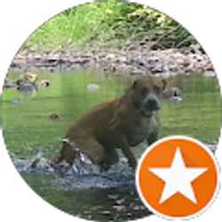 Profile photo of Great Life