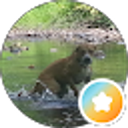 Profile photo of Great Life