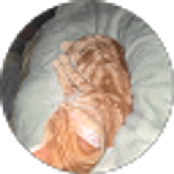 Profile photo of Marielos Valladares