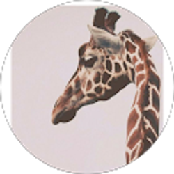 Profile photo of Terri Stetz