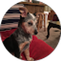 Profile photo of Jessica Whetten