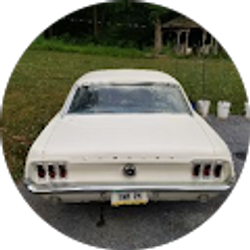 Profile photo of Barbara Kolle