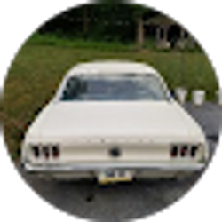 Profile photo of Barbara Kolle