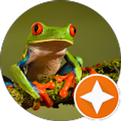 Profile photo of Alyssa H