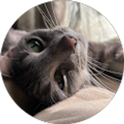 Profile photo of Devyn Briones