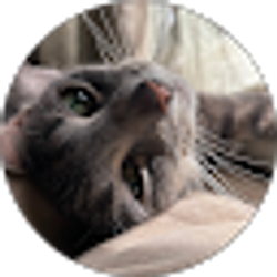 Profile photo of Devyn Briones
