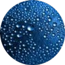 Profile photo of Rex Bowers