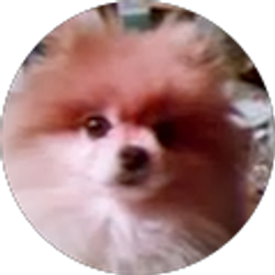 Profile photo of LEA CHRISTY VOROB