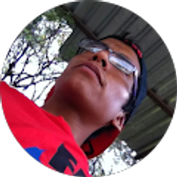 Profile photo of Omar Pintor