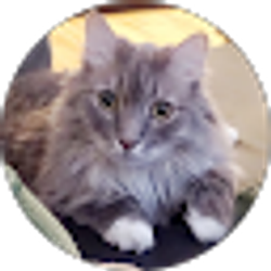 Profile photo of Dora Ismail