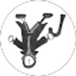 Profile photo of Kurt Paulson