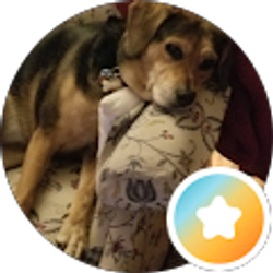 Profile photo of George Martin