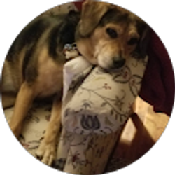 Profile photo of George Martin