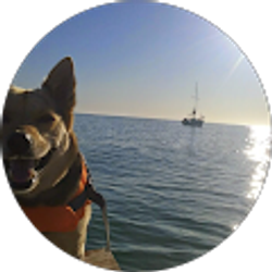 Profile photo of guy seward