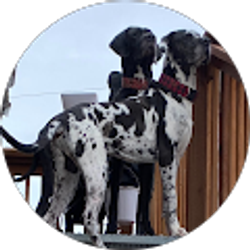 Profile photo of Chris Pekar