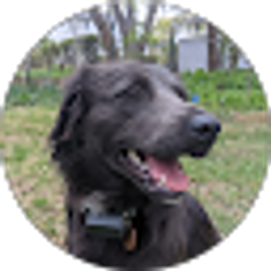 Profile photo of Carl Bucella