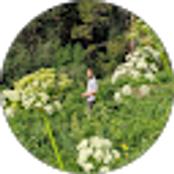 Profile photo of Evan VanderVeen