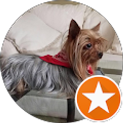 Profile photo of Joenelena Fern