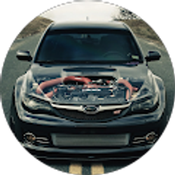 Profile photo of Ryan Alger