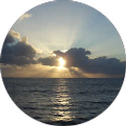 Profile photo of paul kim