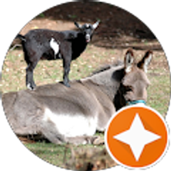 Profile photo of Ben Callahan