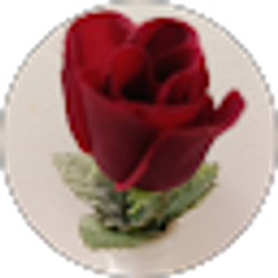 Profile photo of Rose Brown