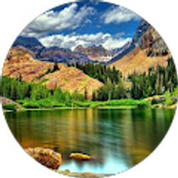 Profile photo of jesse G.