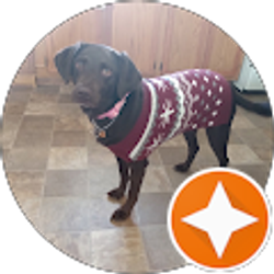 Profile photo of Sandra Reid