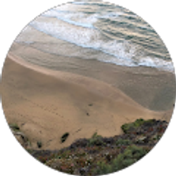 Profile photo of Trevor Buenvenida